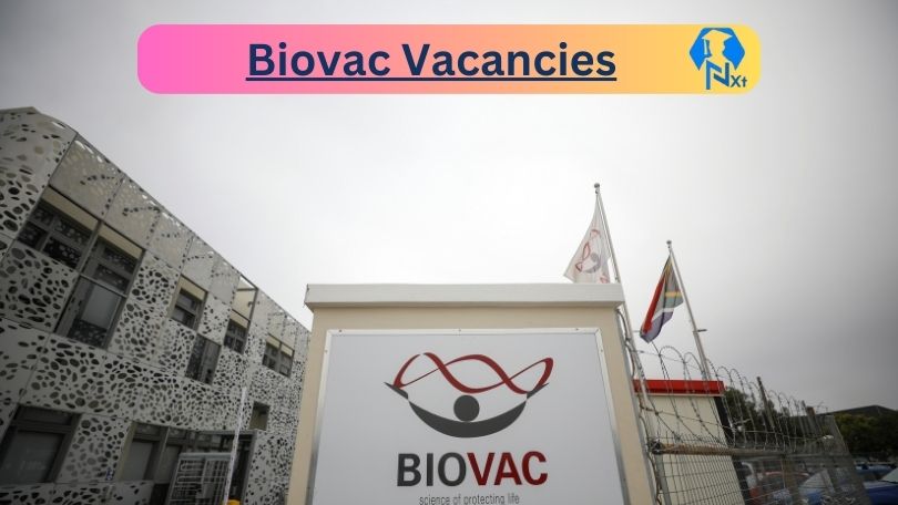 Nxtgovtjobs Biovac Vacancies 2024 @www.biovac.co.za Career Portal