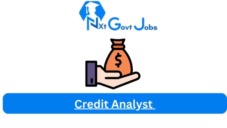 Credit Analyst Jobs in South Africa @Nxtgovtjobs