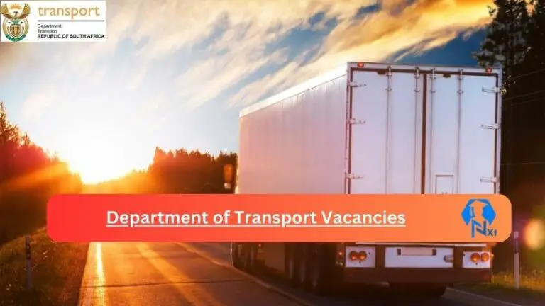 14x New Department of Transport Vacancies 2024 Apply @www.transport.gov.za Career Portal
