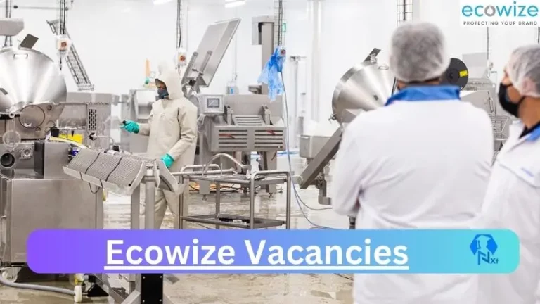 Nxtgovtjobs Ecowize Vacancies 2024 @www.ecowize.co.za Career Portal