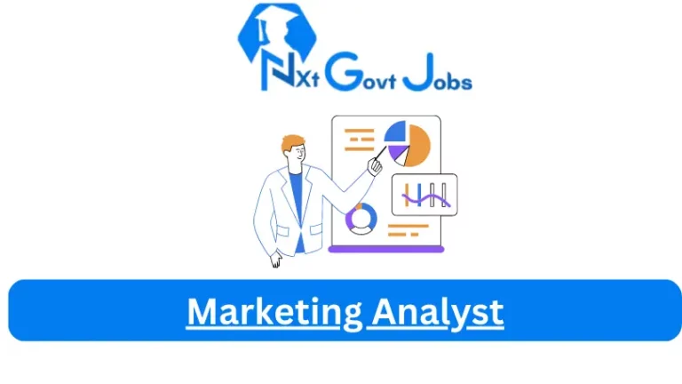Marketing Analyst Jobs in South Africa @Nxtgovtjobs