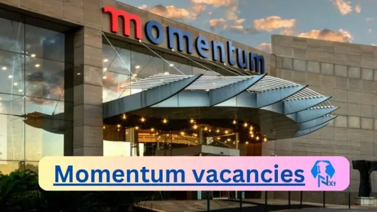 Momentum Insurance vacancies 2024 Apply Online