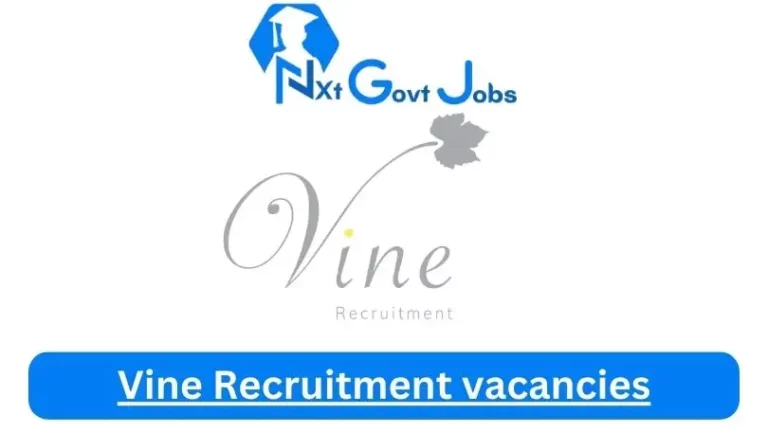 2x Nxtgovtjobs Vine Recruitment Vacancies 2024 @www.vinerecruitment.co.za Career Portal