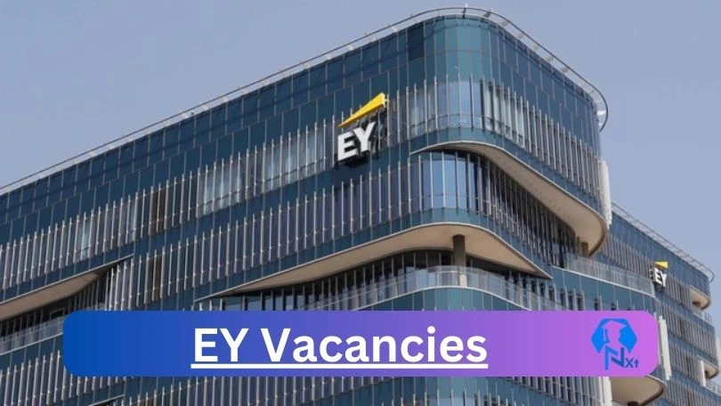 New X19 EY Vacancies 2024 | Apply Now @www.ey.com for Delivery Senior Manager, Advisory Services Assistant Manager Jobs