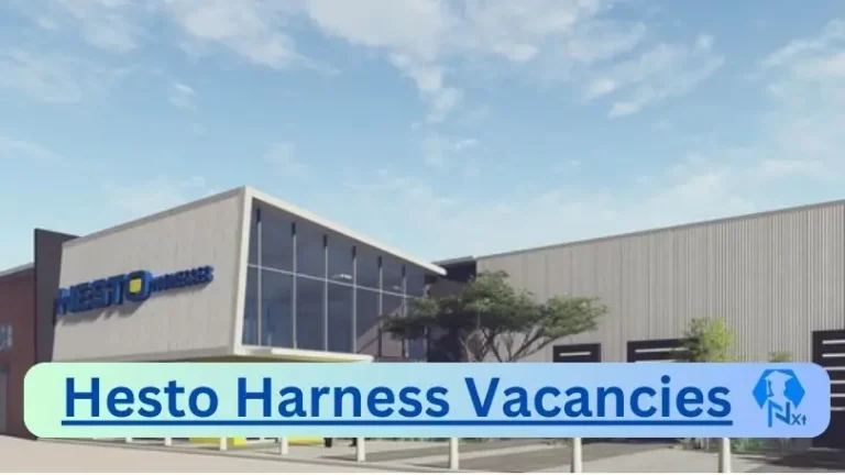 2X New Hesto Harness Vacancies 2024 @www.hesto.com Career Portal