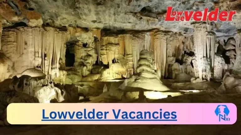 7x New Lowvelder Vacancies 2024 @lowvelder.co.za Career Portal