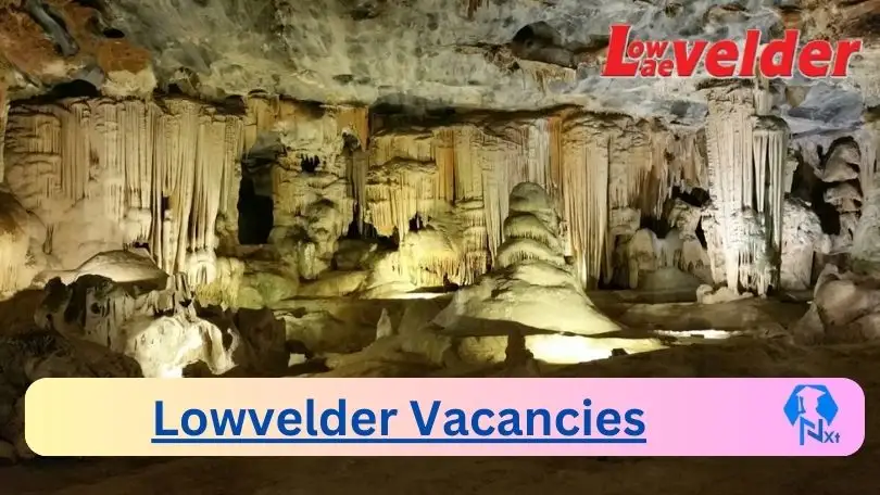 Lowvelder Vacancies 2024 - 8x New Lowvelder Vacancies 2024 @lowvelder.co.za Career Portal