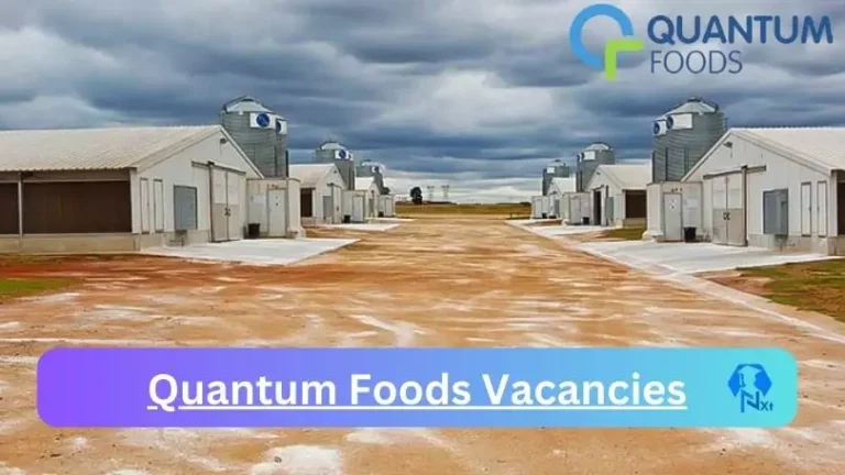 2X New Quantum Foods Vacancies 2024 @quantumfoods.co.za Career Portal