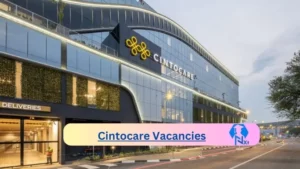 Cintocare-Vacancies 2024