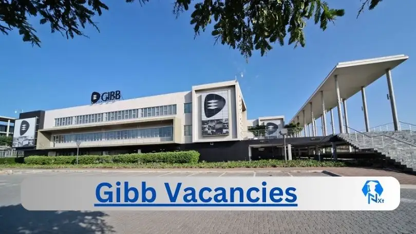 New X1 Gibb Vacancies 2024 | Apply Now @www.gibb.co.za for Admin, Cleaner, Supervisor, Assistant Jobs