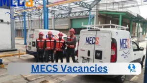 MECS-Vacancies 2024