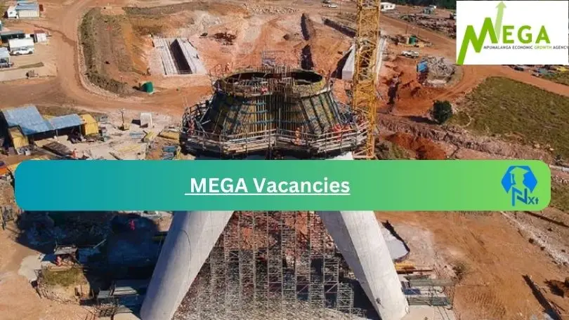 MEGA-Vacancies 2024