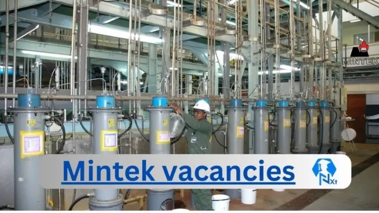 2x Nxtgovtjobs Mintek Vacancies 2024 @www.mintek.co.za Career Portal
