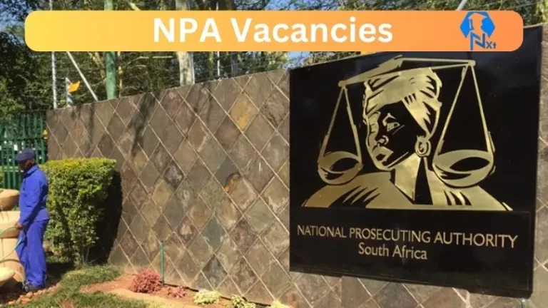 7x New NPA Vacancies 2024 @www.npa.gov.za Careers Portal