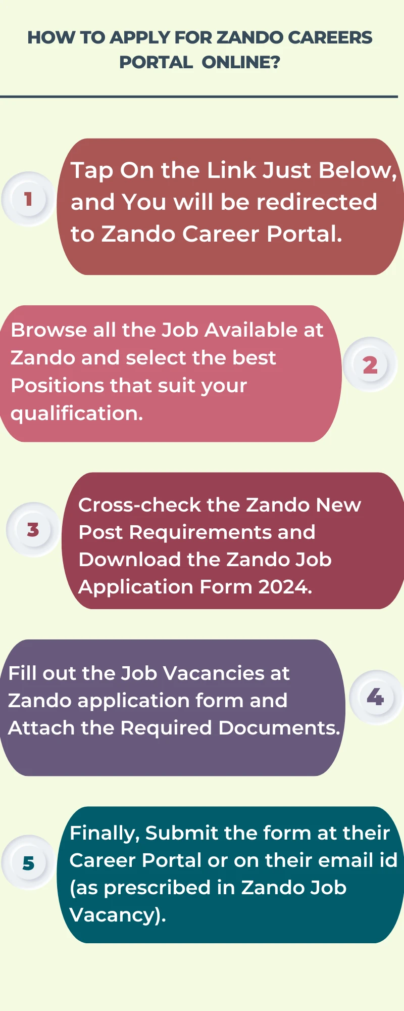 How To Apply for Zando Careers Portal  Online?